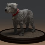 Schnauzer 12