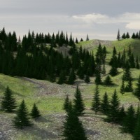 3D Evergreen Tree and Forest 3D Evergreen Tree and Forest