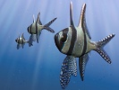 Benggai Preview final