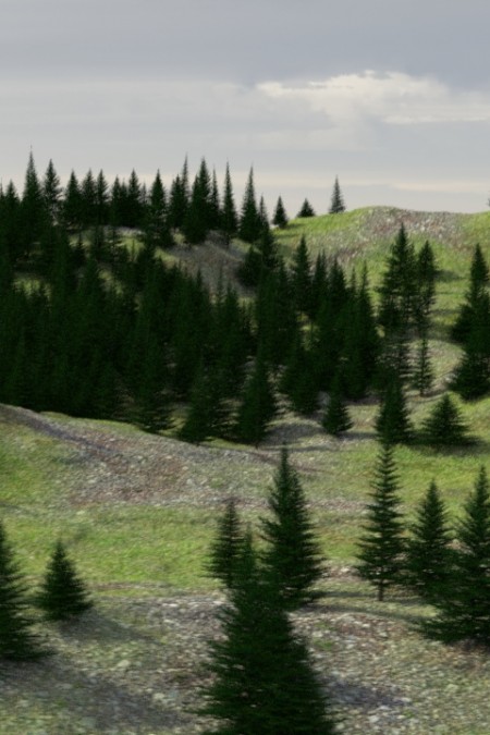 3D Evergreen Tree and Forest