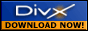 DivX downloads
